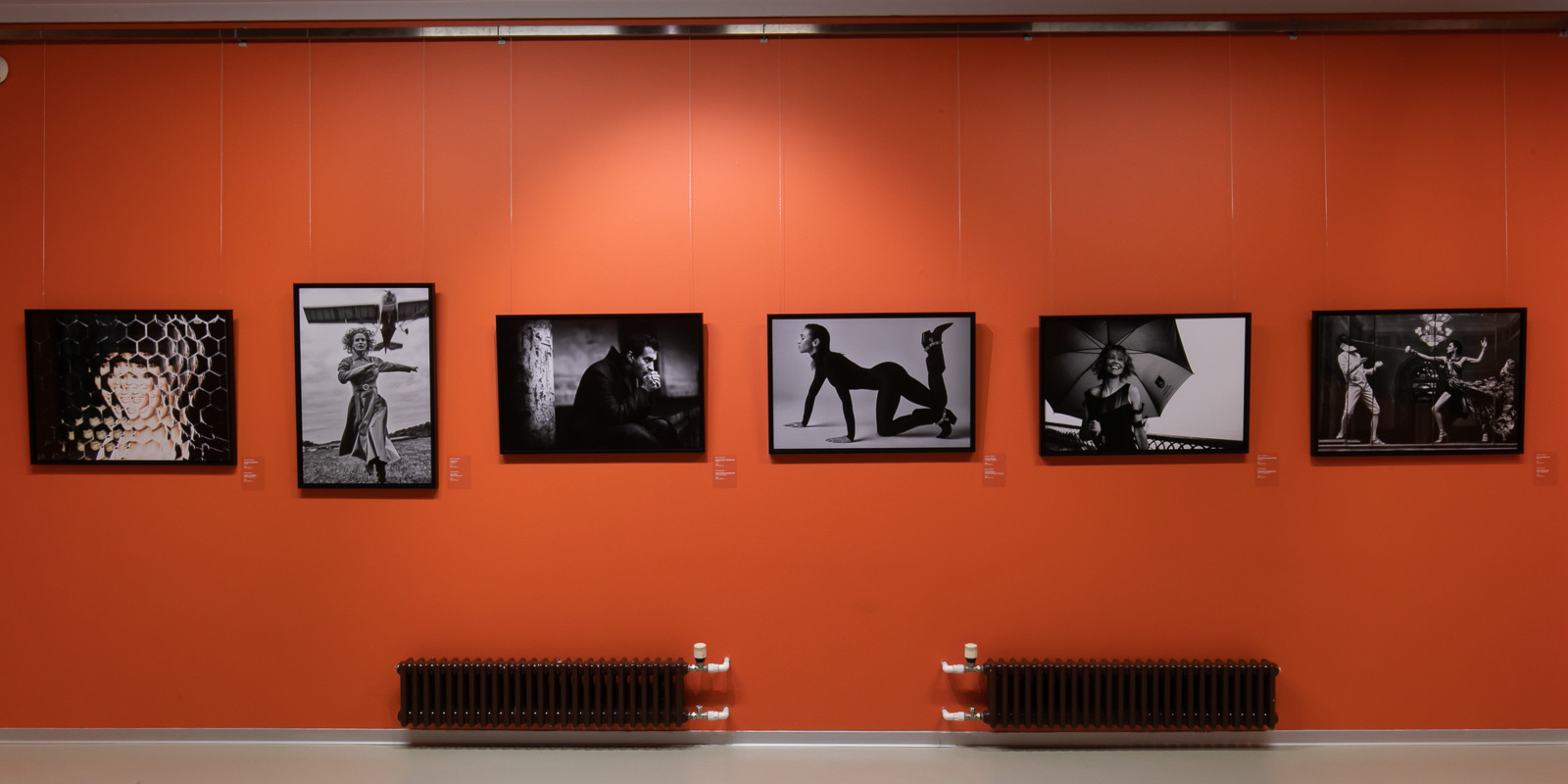 ДАНИЛ ГОЛОВКИН, FACES, ЭРАРТА