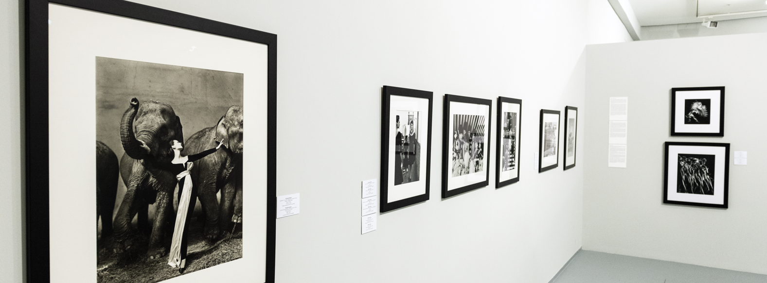 «КОЛЛЕКЦИЯ STILL ART. ИЗБРАННОЕ» В МАММ