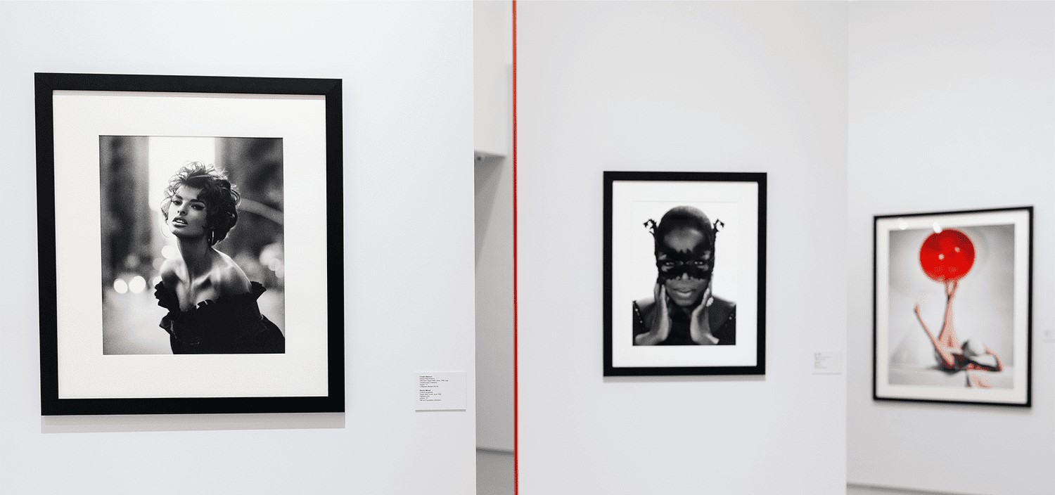 «КОЛЛЕКЦИЯ ФОНДА STILL ART. ШЕДЕВРЫ МИРОВОЙ ФОТОГРАФИИ МОДЫ»  В МАММ 