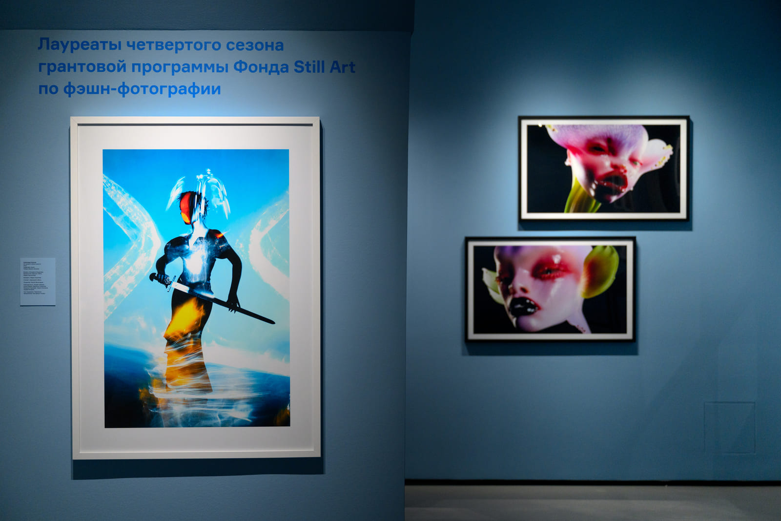 ЛАУРЕАТЫ ЧЕТВЕРТОГО СЕЗОНА ГРАНТА STILL ART В МАММ