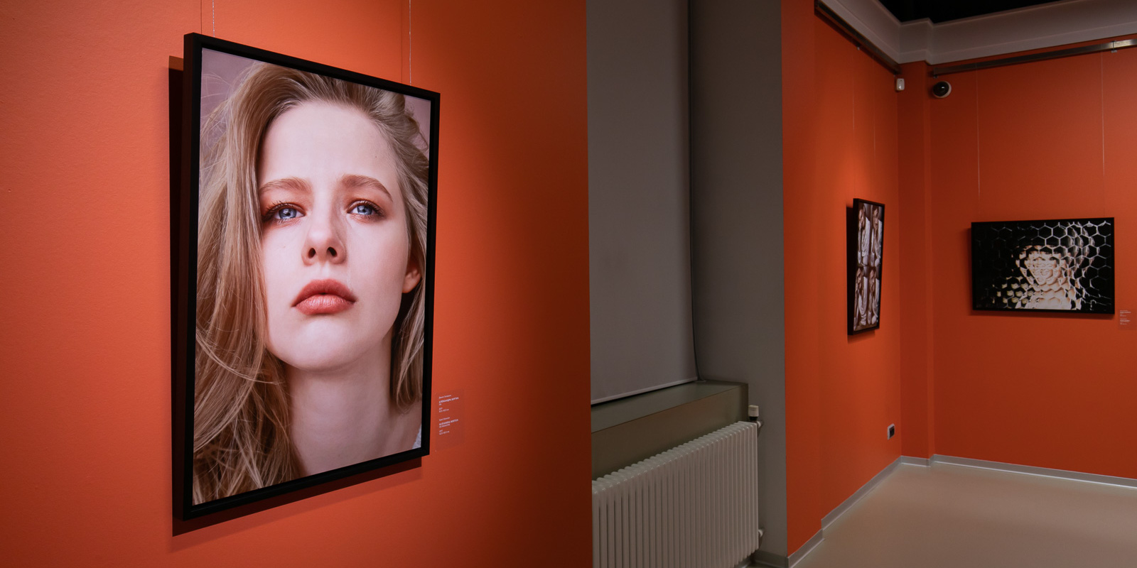 ДАНИЛ ГОЛОВКИН, FACES, ЭРАРТА